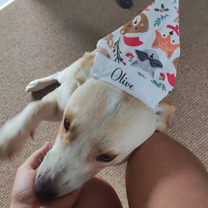 Jayde added a photo of their purchase