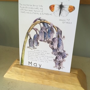 Sarah ha añadido una foto de su compra