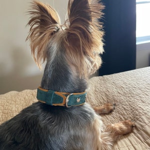 Aileen added a photo of their purchase