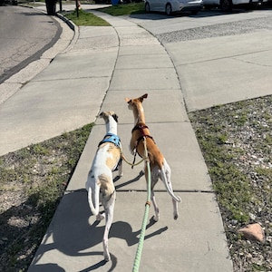 David added a photo of their purchase