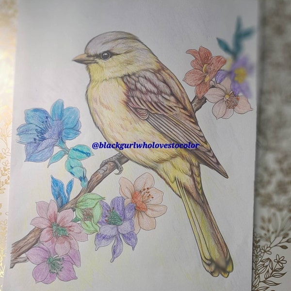 25 Cute Bird Coloring Pages - Adults and Kids Coloring Book, Digital ...