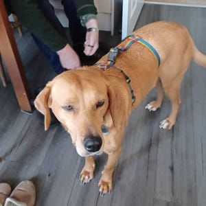 Susan heeft een foto van de aankoop toegevoegd