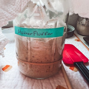 Gluten Free Sourdough Starter Maintained With GF King Arthur - Etsy