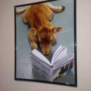 jude hat ein Foto des gekauften Artikels hinzugefügt