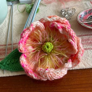 Lind added a photo of their purchase