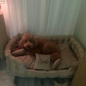 Tamara added a photo of their purchase