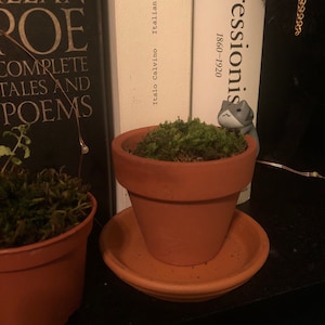 Sabrina added a photo of their purchase