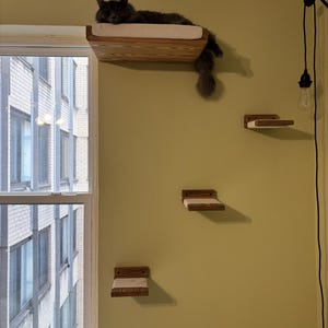 Mara added a photo of their purchase