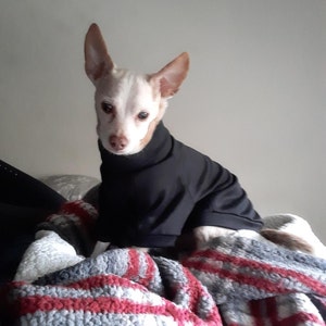 S ha añadido una foto de su compra