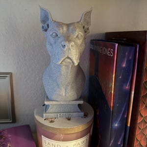J added a photo of their purchase