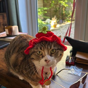 Isabelle added a photo of their purchase
