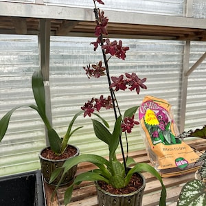 Amy added a photo of their purchase