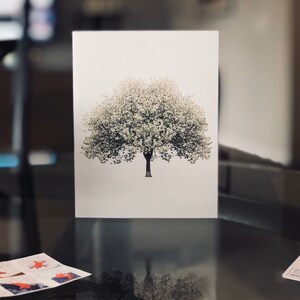 Chim ha añadido una foto de su compra