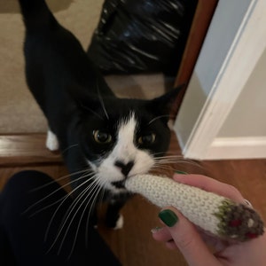 Emma added a photo of their purchase