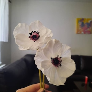 EvaD added a photo of their purchase