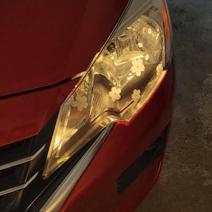 Marissa added a photo of their purchase