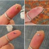 MICRO Mini Garden Snail, 1mm Shell, Handmade 1:12 Scale Miniature Brown ...