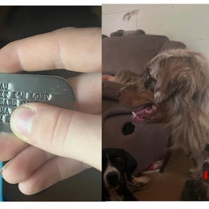 Temperance added a photo of their purchase
