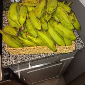 Burro Banana Alkaline Platano Plantain Tropical Fruit Exotic Fruit Fresh  Fruit Organic Fruit Sebi Approved -  Norway