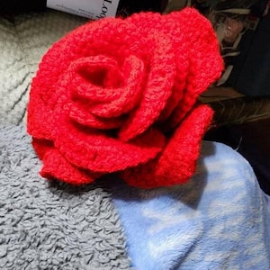 Aara added a photo of their purchase