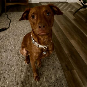 Bethany added a photo of their purchase