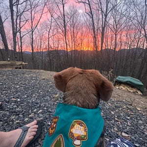 Charity added a photo of their purchase
