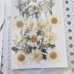Tanja added a photo of their purchase