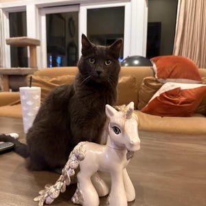 Delilah added a photo of their purchase