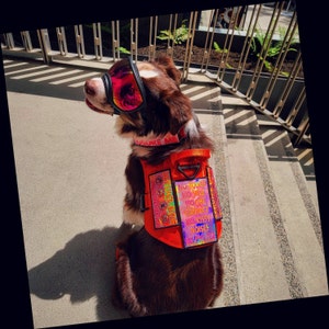 Mason added a photo of their purchase