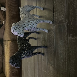 Isy added a photo of their purchase