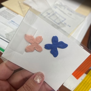 Stephanie ha añadido una foto de su compra
