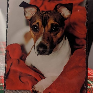 Special added a photo of their purchase