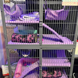 Laura added a photo of their purchase