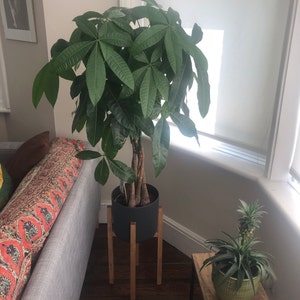 Paula added a photo of their purchase