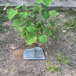 Rose added a photo of their purchase