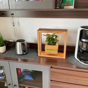 Papa added a photo of their purchase