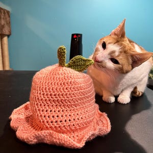 Rachel hat ein Foto des gekauften Artikels hinzugefügt