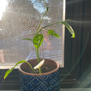 Jenn added a photo of their purchase