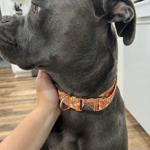 Katie added a photo of their purchase
