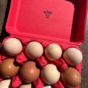 Hippy added a photo of their purchase