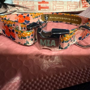 Kesha ha añadido una foto de su compra