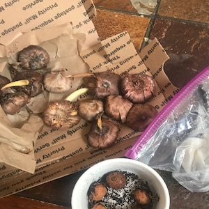 Cindy added a photo of their purchase