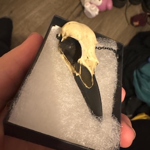 Christine added a photo of their purchase