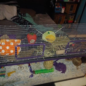 13 Wide X 48.5 Long X 8 Tall 55 Gallon One Story Aquarium Cage Tank Topper Two Front Doors Gerbil Rat Hamster Degu Best Seller Etsy