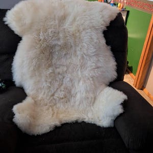 M added a photo of their purchase