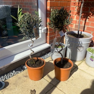 Lakeisha ha añadido una foto de su compra