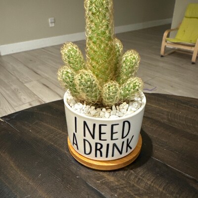 Funny Succulent Pot Cactus Pot Small Planter With Drainage Ceramic Pot ...