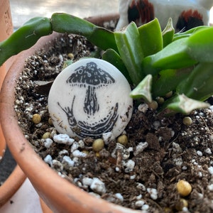 Robin added a photo of their purchase