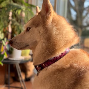 misty added a photo of their purchase