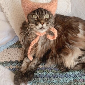 KNITTING PATTERN Cat Hat for Cat With Kitty Ears - Etsy
